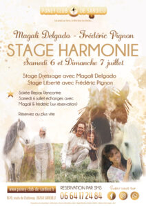 Stage Harmonie